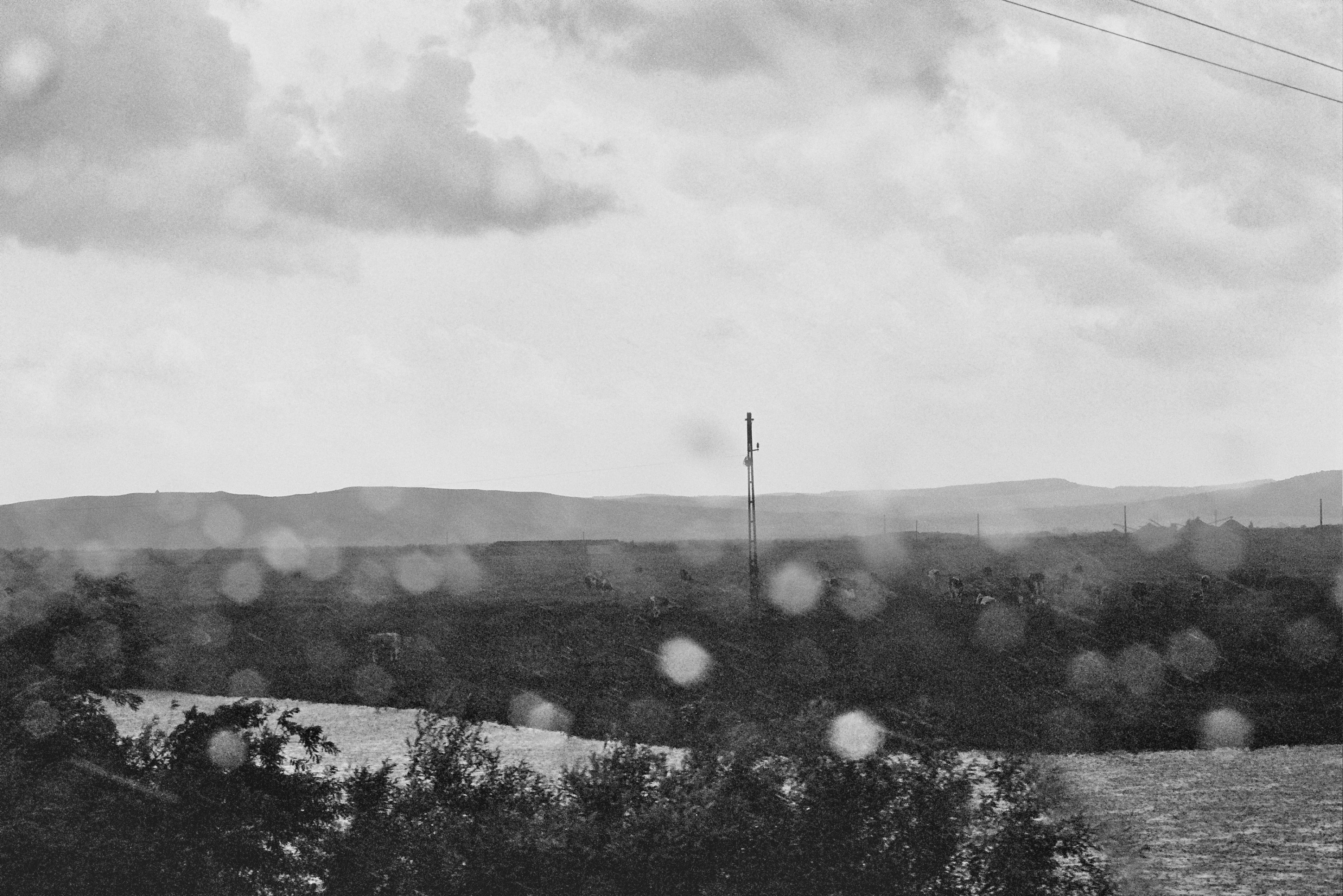 Autosave-File vom d-lab2/3 der AgfaPhoto GmbH